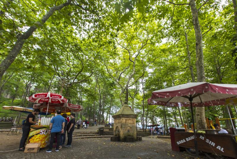 Giresun in Photographs 13
