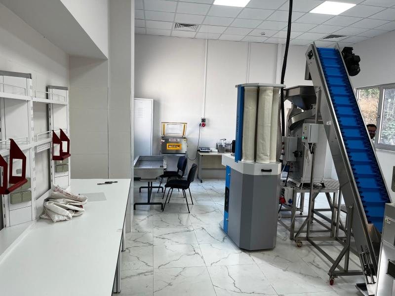 General view of the processing line